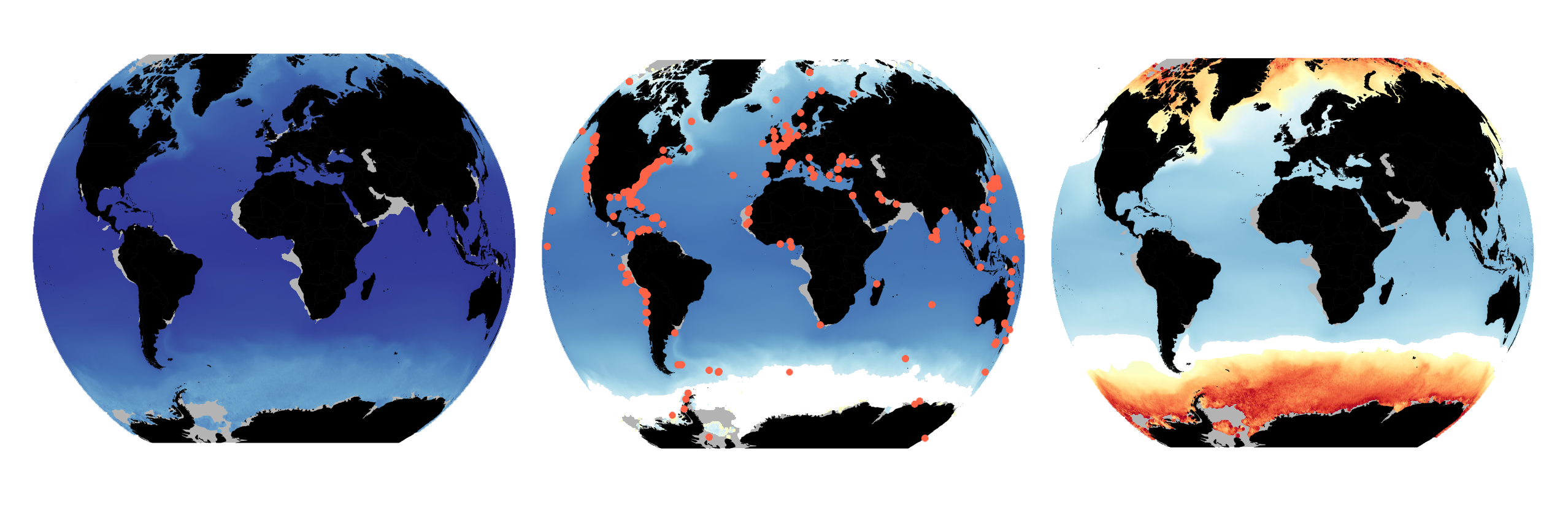 Global environmental drivers of marine fish egg size Diego Barneche