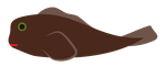 Predicting the effects of body size, temperature and diet on animal feeding rates